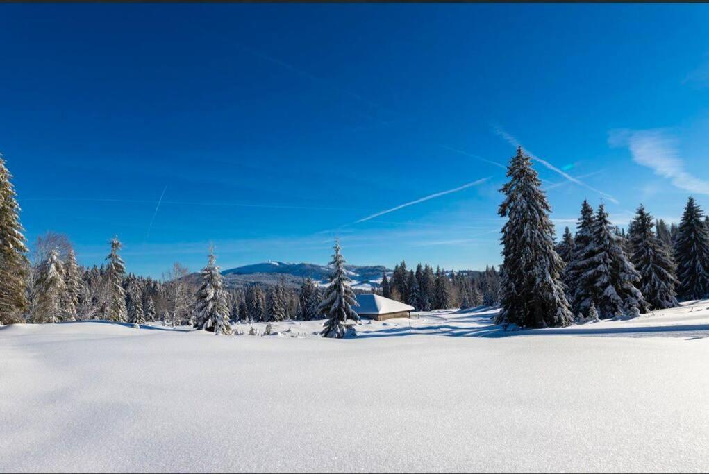 Chaleureux Studio Montagnard Avec Balcon 2303 Prémanon Exteriör bild