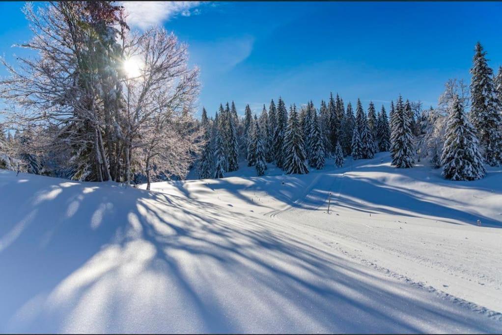 Chaleureux Studio Montagnard Avec Balcon 2303 Prémanon Exteriör bild
